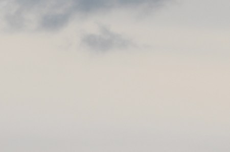 IMG_7994 - Version 3