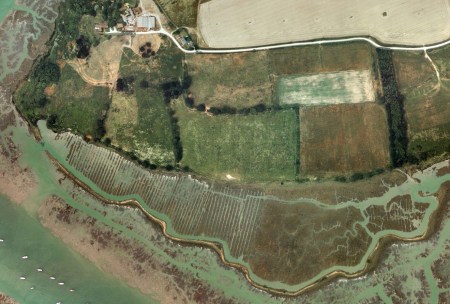 The former salt making landscape of Exbury Farm and Stephen Turner's 'personal parish'.
