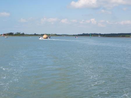 'Arrival of  the Egg' Photo Anne Chivers